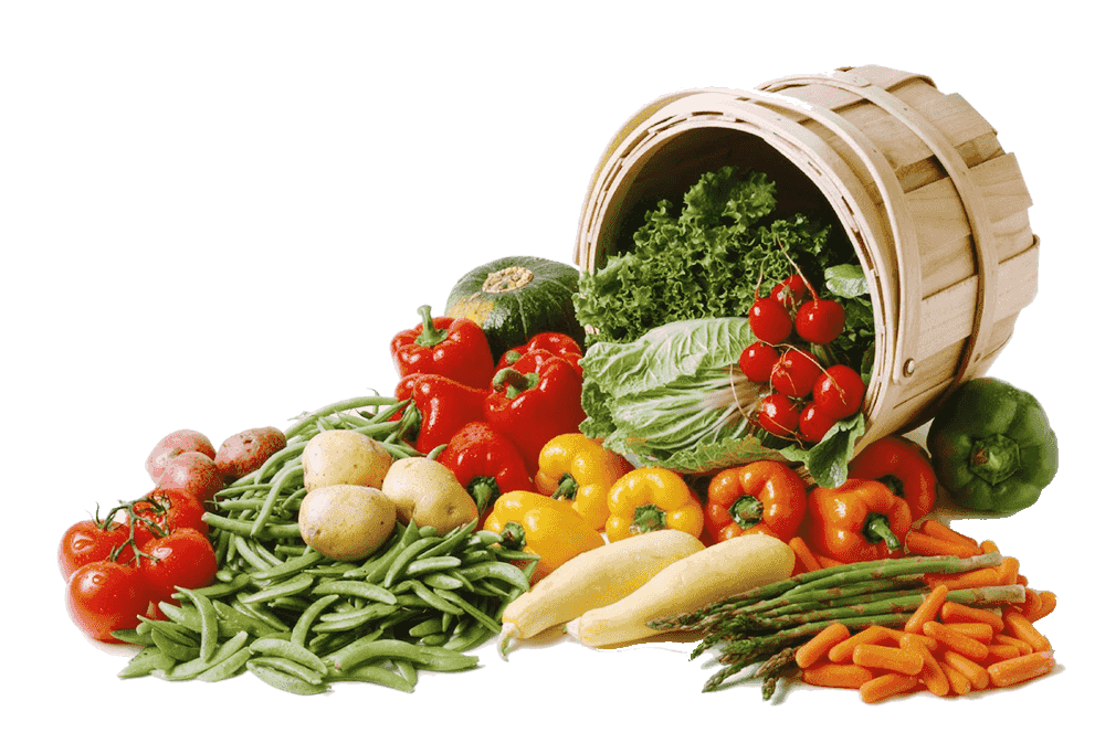 Fresh food is now widely available