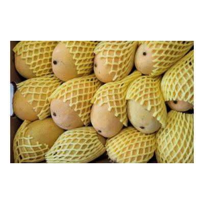 Banganpalli Mangoes Box (6-8 pcs)