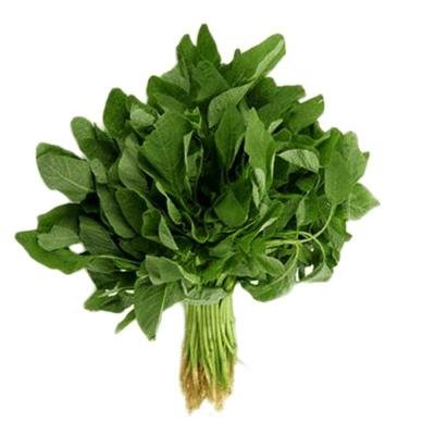 GREEN KEERAI / AMARANTH