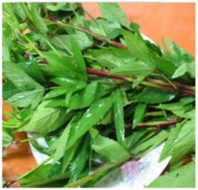 Gongura/ Sorrel Bunch