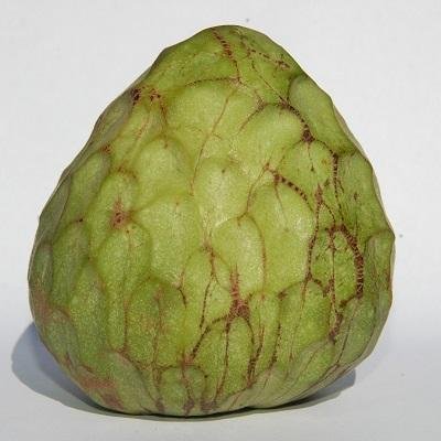 Custard Apple